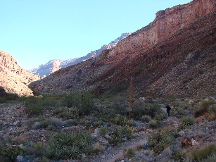 On the Way to Bright Angel campsite