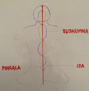 IdaPingala