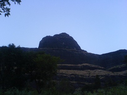 Dhodap from Sonar wadi