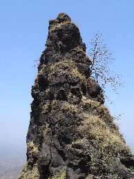 Kakadmaal Lingi