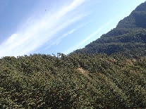 Green Valley point on the way to Kufri