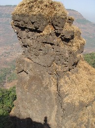 Marjori Nook from the point