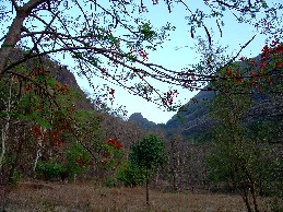 Siddhgadh Lingi from the Narivali