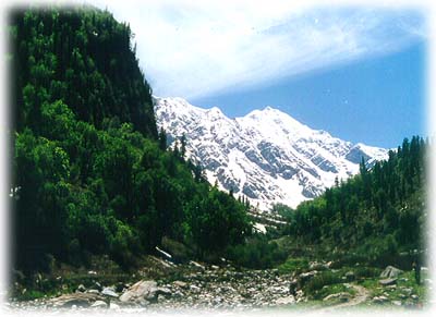 beas2.jpg