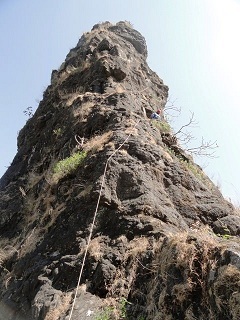 Pahine Navra