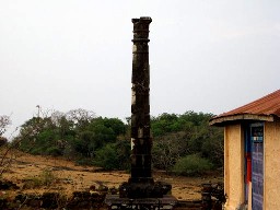 sudha