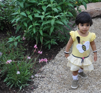 Vanita walking in the Butterfly bloom having real one on her frock